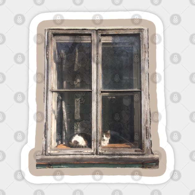 Window Cat Sticker by TenomonMalke